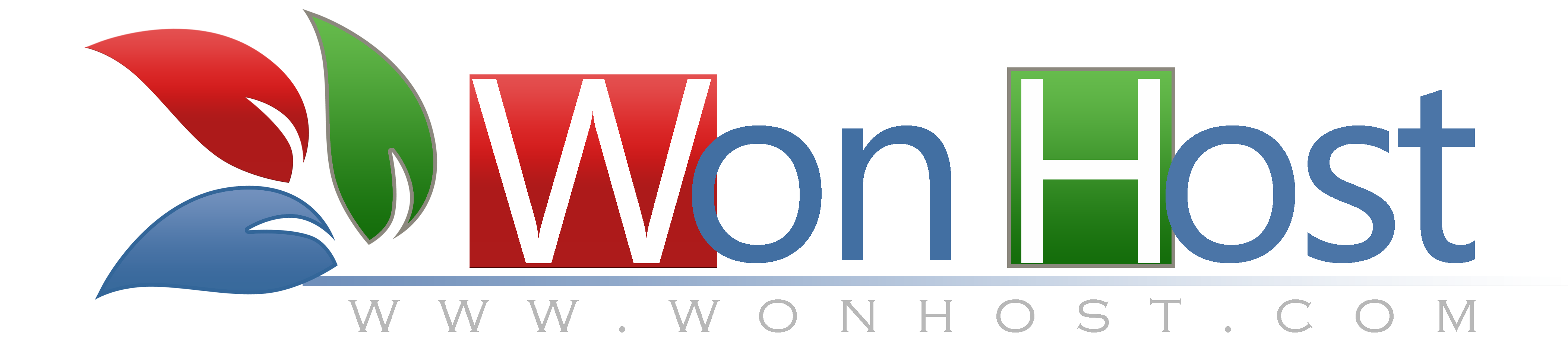 Wonhost Logo
